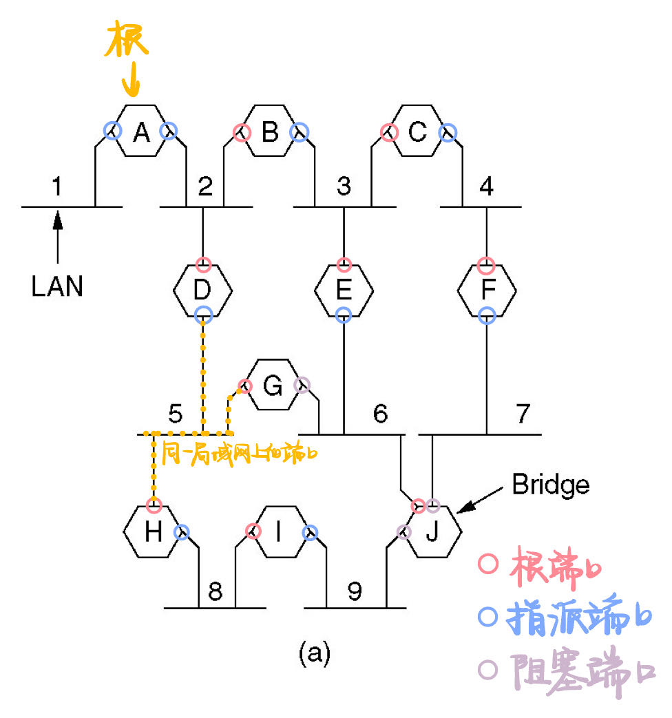 动态拓扑